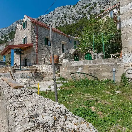 House Darijo بيت للعطل