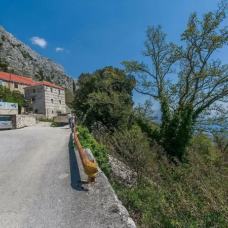 House Darijo * لوكفا روجوزنيكا